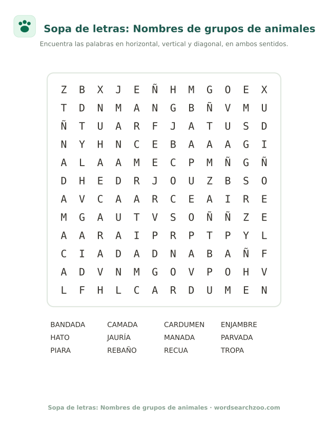 Sopa de letras de nombres de grupos de animales, tablero de 12x12 con cardumen y parvada