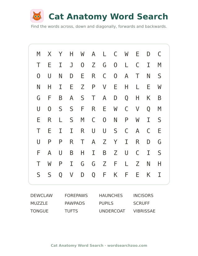 Cat anatomy word search to print, a 12x12 grid with vibrissae, paw pads and dewclaw