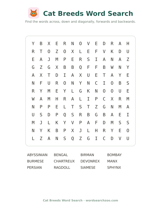 Cat breeds word search to print, a 13x13 grid with Siamese, Abyssinian and Sphynx