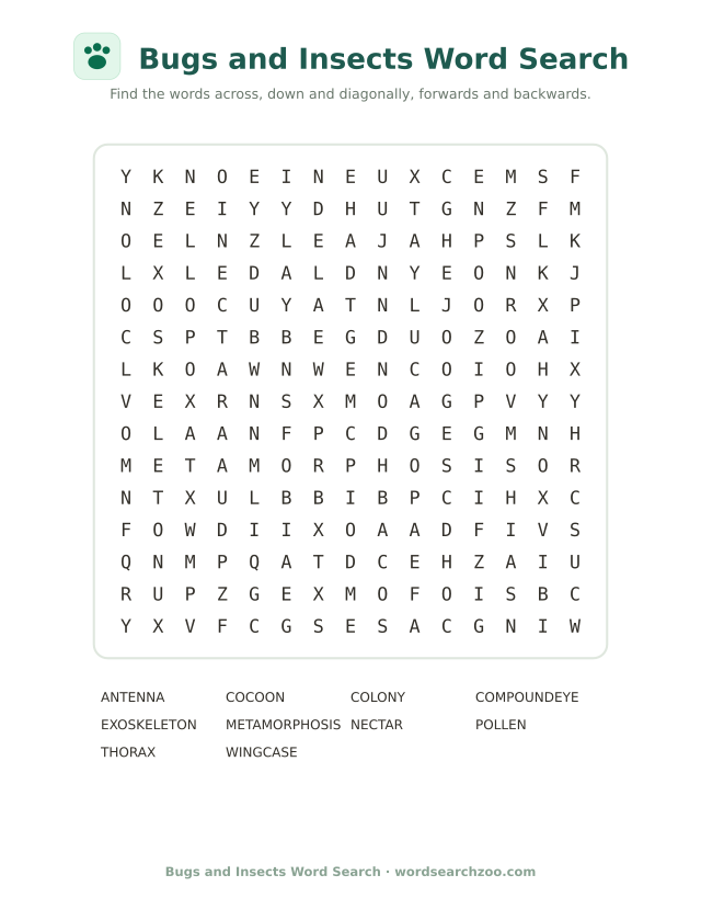 Bugs and Insects word search