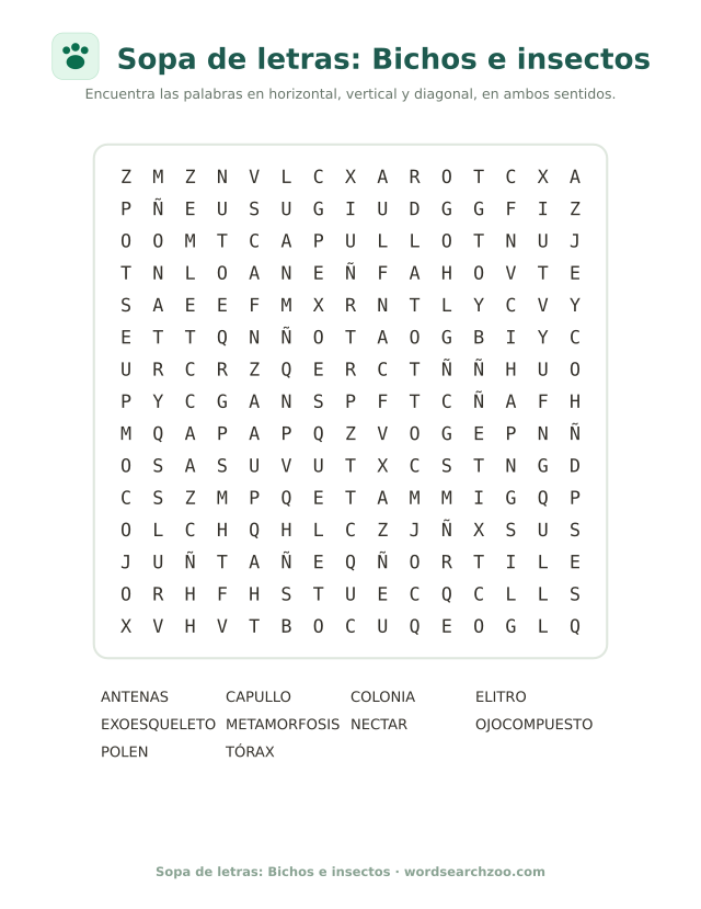 Sopa de letras: Bichos e insectos