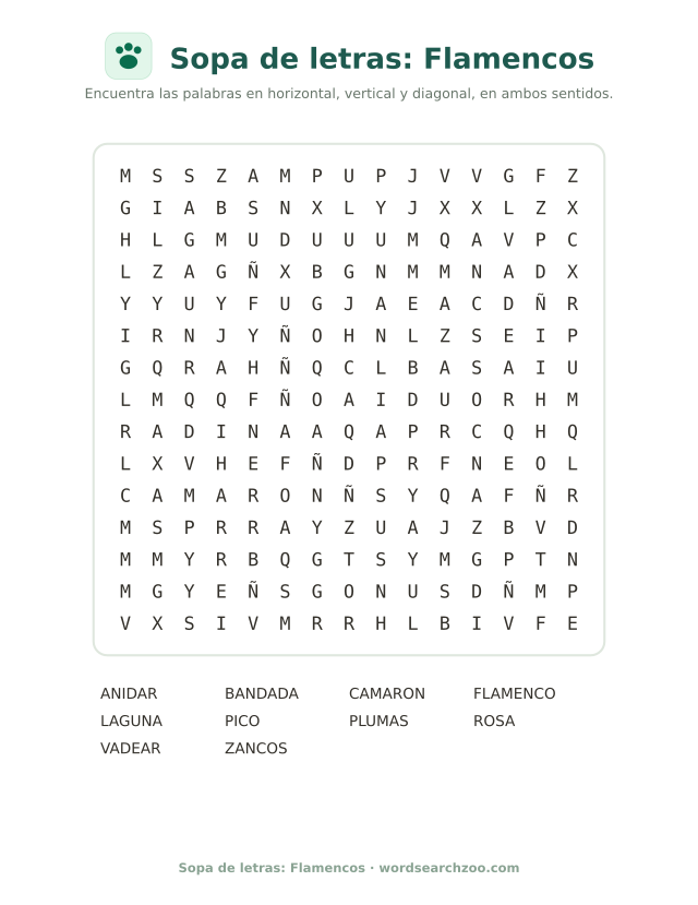 Sopa de letras: Flamencos