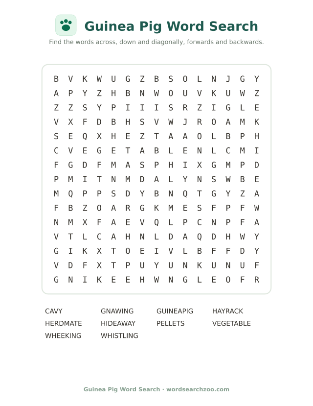 Guinea Pig word search