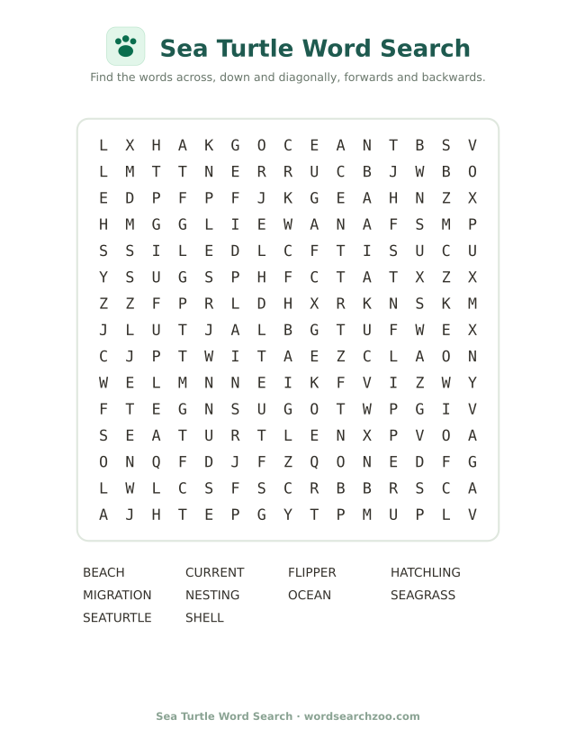 Sea Turtle word search
