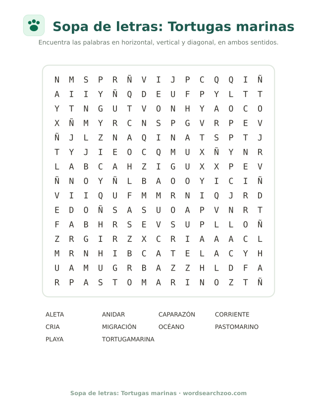 Sopa de letras: Tortugas marinas