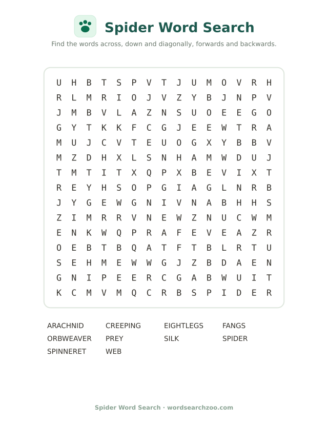 Spider word search