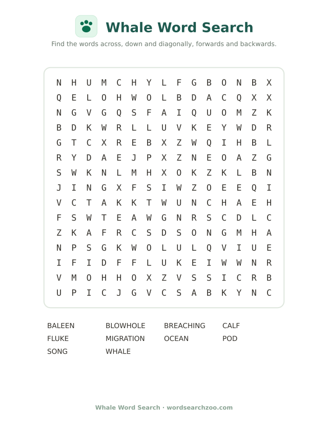 Whale word search