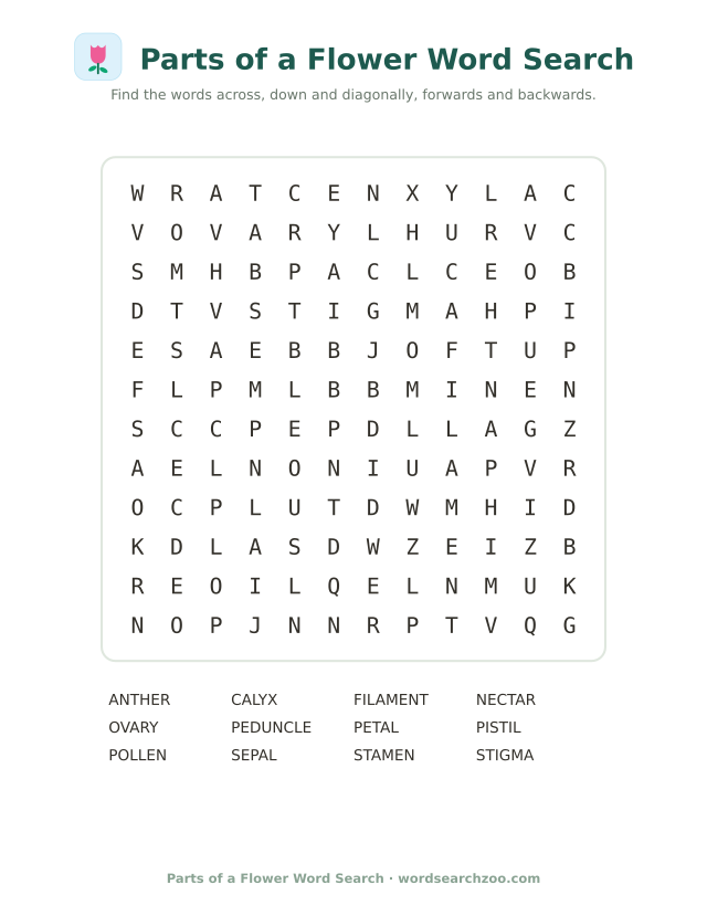 Parts of a flower word search to print, a 12x12 grid with stamen, pistil, sepal and anther