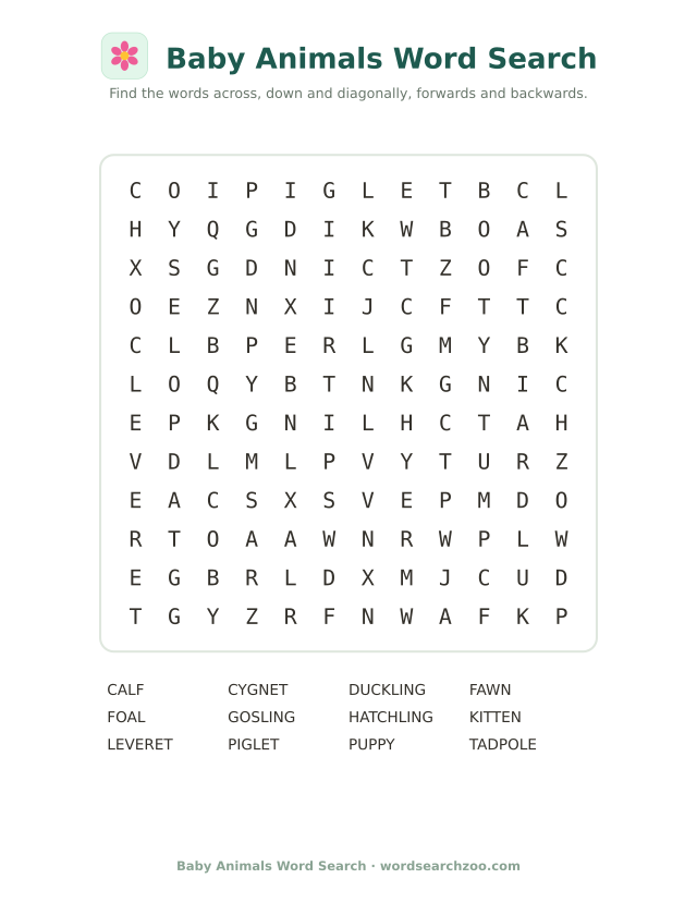 Baby animals word search to print, a 12x12 grid with duckling, cygnet, leveret and gosling