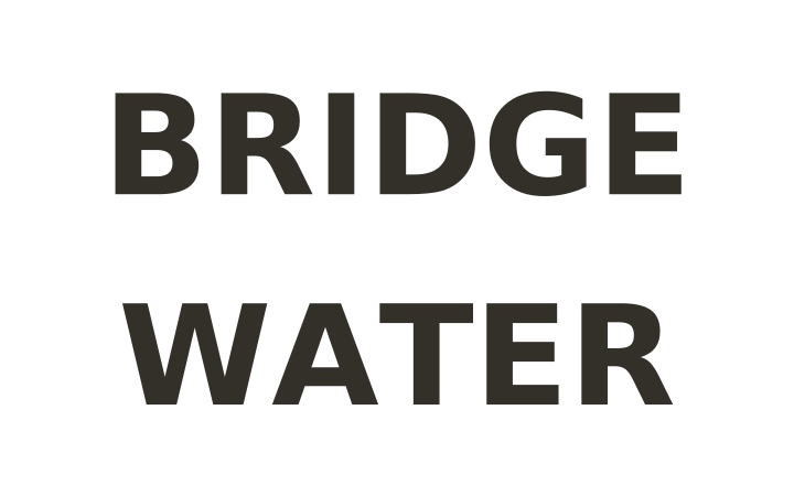 Rebus puzzle: the word BRIDGE with the word WATER beneath it