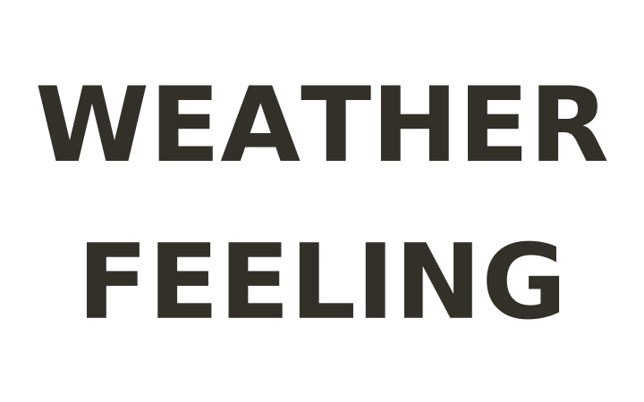 Rebus puzzle: the word FEELING below the word WEATHER