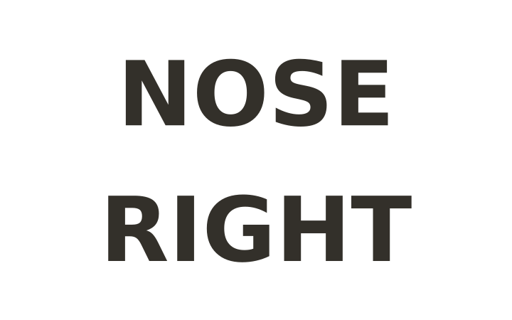 Rebus puzzle with answer: the word NOSE with the word RIGHT directly beneath it