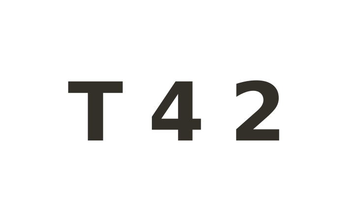 Rebus puzzle with answer: the letter T followed by the digits 4 and 2