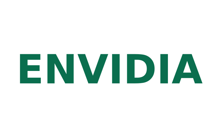 Acertijo visual con respuesta: la palabra ENVIDIA escrita en tinta verde