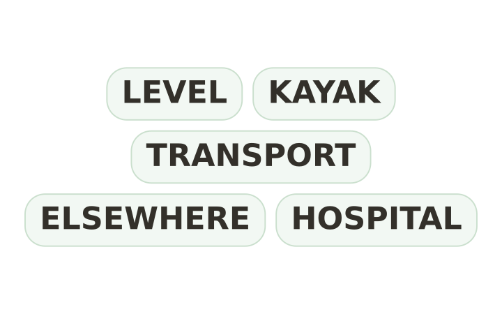Printable brain teaser: the words LEVEL, KAYAK, TRANSPORT, ELSEWHERE and HOSPITAL in five word chips.