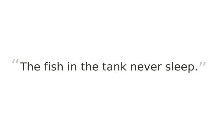 Printable brain teaser hidden word puzzle: the sentence The fish in the tank never sleep.