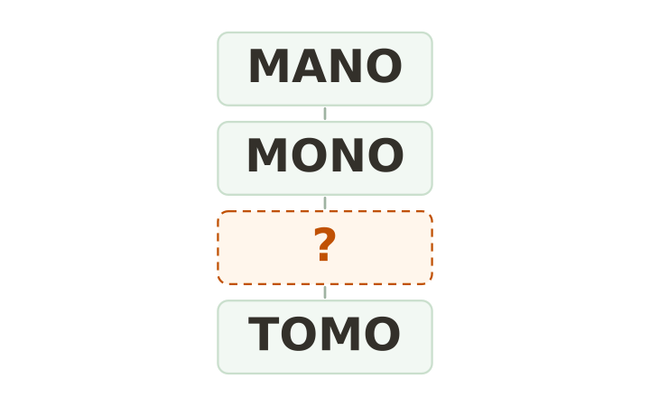 Escalera de palabras imprimible: MANO, MONO, un peldaño vacío y TOMO en cuatro cajas apiladas.
